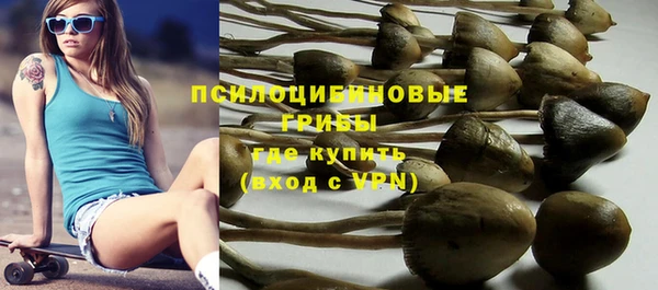 ECSTASY Волосово