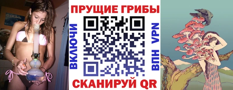 Галлюциногенные грибы Cubensis Северо-Курильск