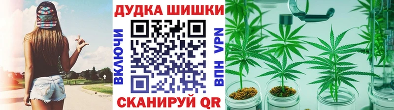 сколько стоит  Северо-Курильск  Канабис сатива 